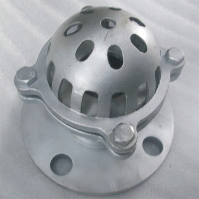 Stainless Steel Foot Valve